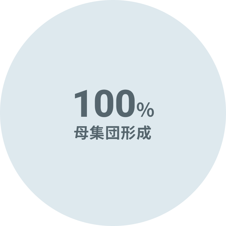 100% 母集団形成